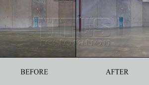 Concrete Polished Floors Titus Restoration