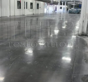 Polished Concrete Contractor