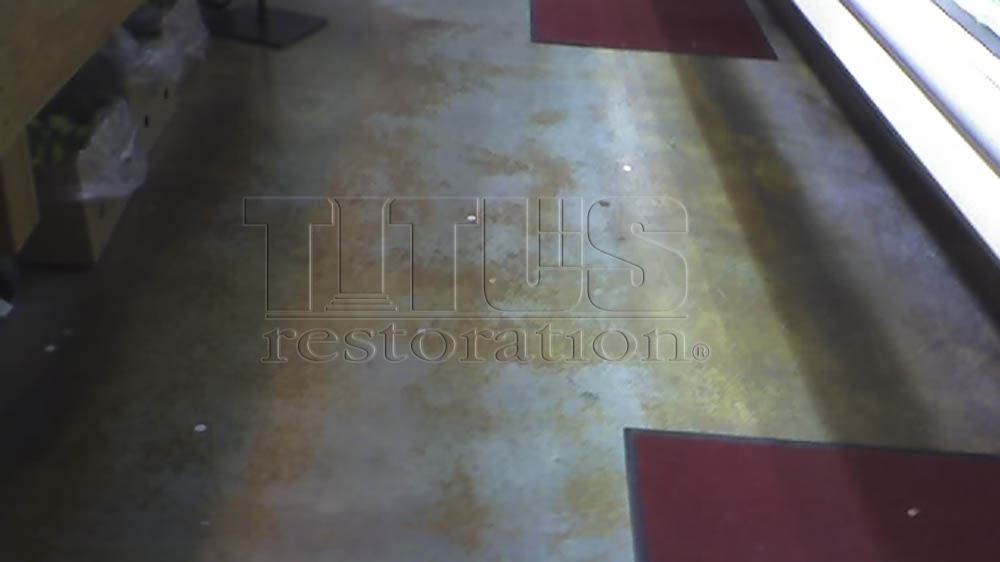 Acid Stain Vs Polished Concrete Concrete Floor Finishes Titus