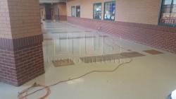VCT Removal in Schools