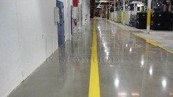 Polished concrete is durable enough for heavy traffic lanes.