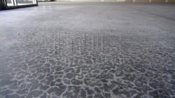 wet concrete slab