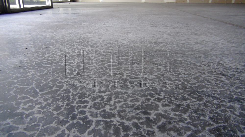 Sweating Slab Syndrome Treating Wet Concrete In Warehouse Floors