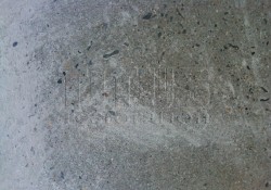 Cat Faces in Polished Concrete Floors