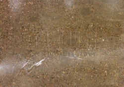 Footprint On Polished Concrete