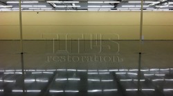 floors of dollar stores