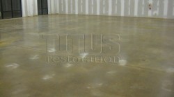 polished concrete in packaging store