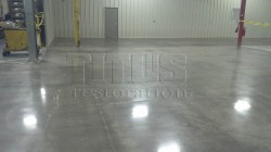 floor treated with densifier