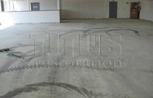 process for polished concrete floors